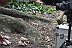 ATELIER_FDLI10_Mika-Guerriero (8)