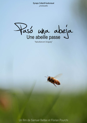 visuel paso abeja
